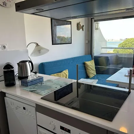 Apartament Appt 2 Pieces Climatise Port Camargue Pc440-173 *