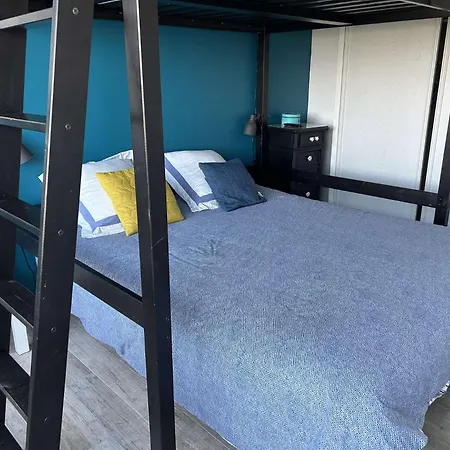 Appt 2 Pieces Climatise Port Camargue Pc440-173